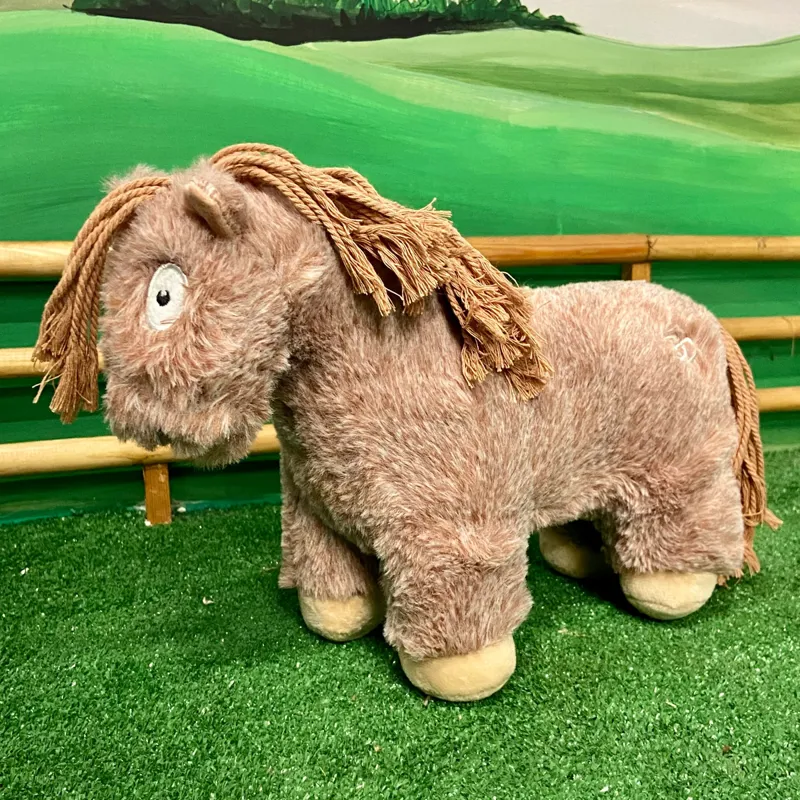 Crafty Ponies Foal - Strawberry Roan